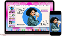 MacBook Neo, Rausva spalvos, šalia iPhone; MacBook Neo ekrane rodoma prezentacija „Finals Week Pet Therapy“ su žmogaus, laikančio jūrų kiaulytę, nuotrauka, o iPhone ekrane – ta pati nuotrauka, paversta lipduku naudojimui prezentacijoje